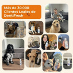 DentiFresh