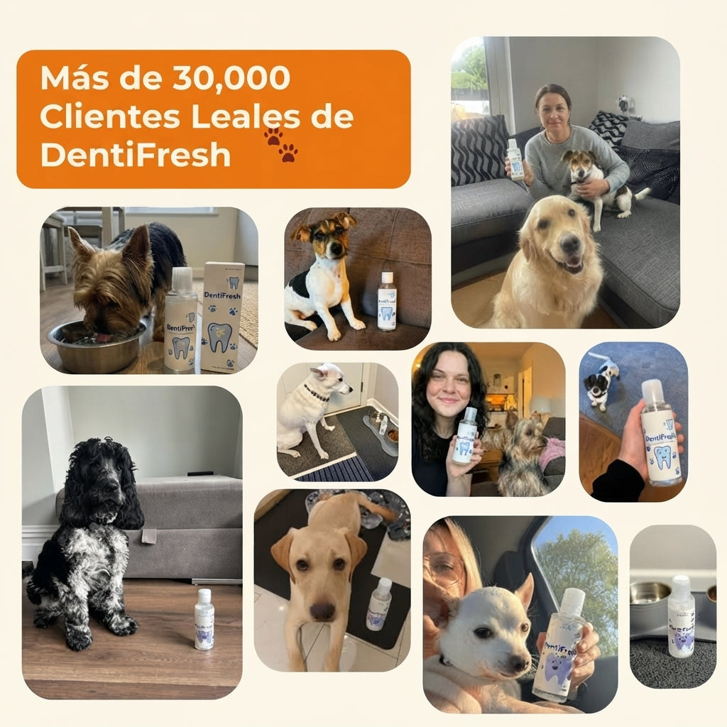 DentiFresh